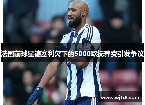 法国前球星德塞利欠下的5000欧抚养费引发争议